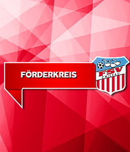 FSV Zwickau Förderkreis