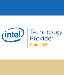 Intel Technology Provider Gold